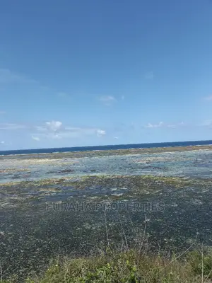 For Sale 2 Acre Beach Land Likoni