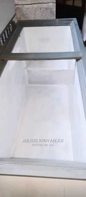 Deep Freezer 650L