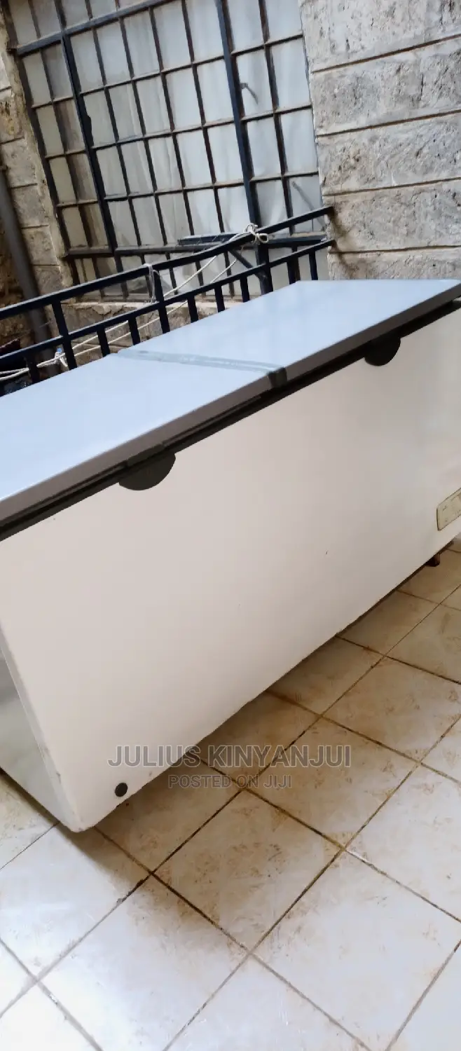 Deep Freezer 650L