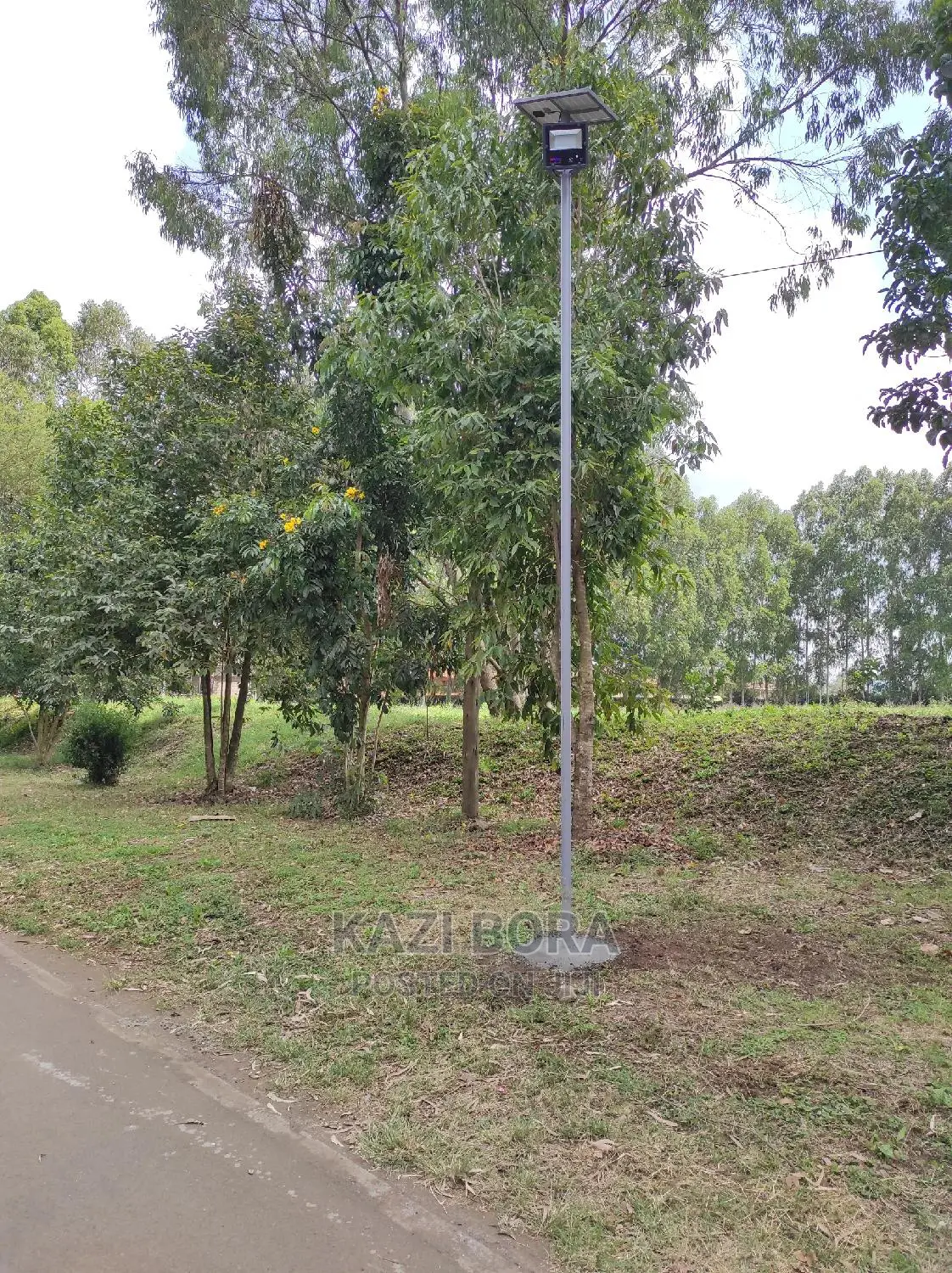 Solar Lights Installation