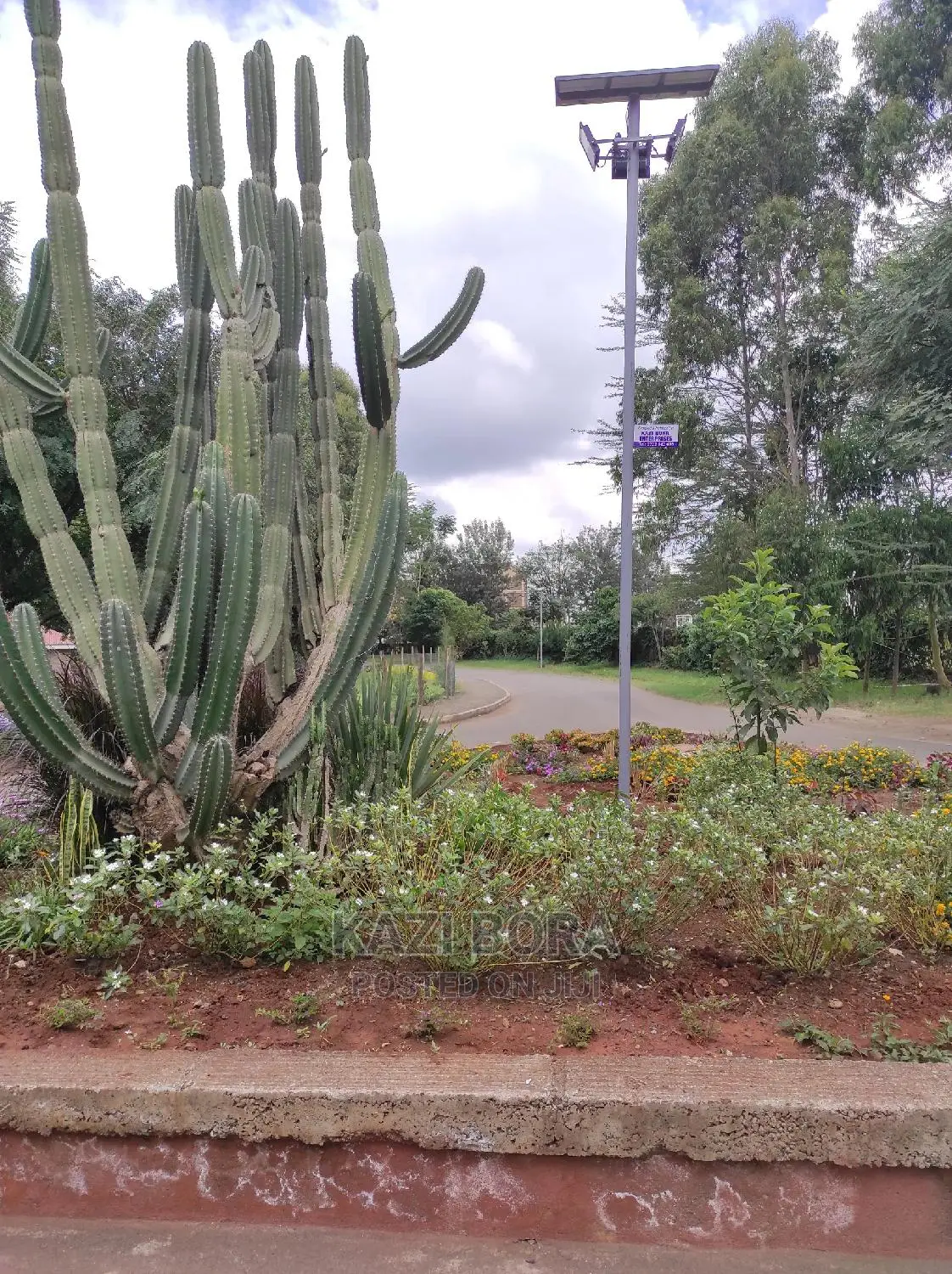 Solar Lights Installation