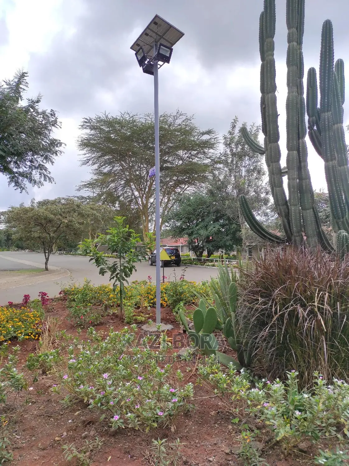 Solar Lights Installation