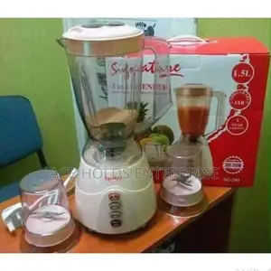 3 in 1 Signature Blender SG201