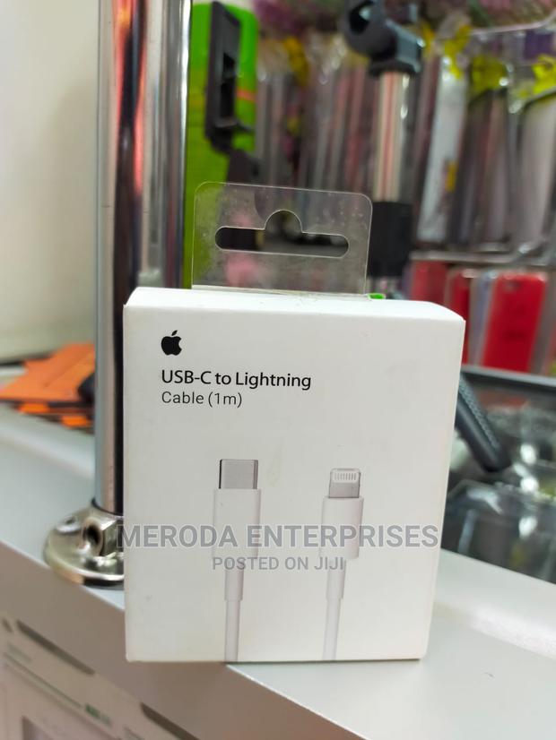 Usb-C to Lighting Power Cable - main view