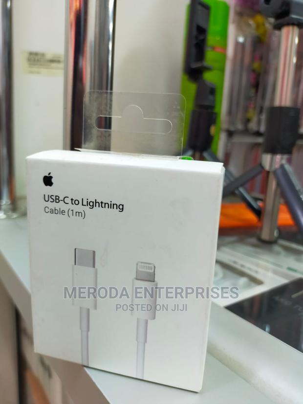 Usb-C to Lighting Power Cable - thumbnail 3