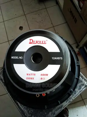 12" Speaker