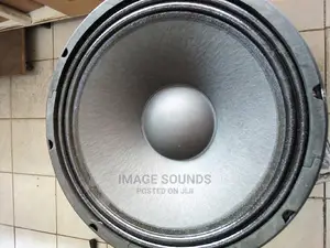 12" Speaker