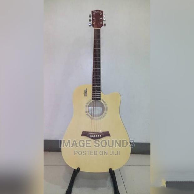 Acoustic Guitar - main view