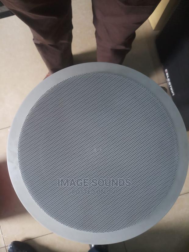 6" Celling Speaker - main view