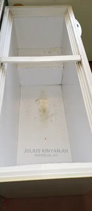 550L Deep Freezer