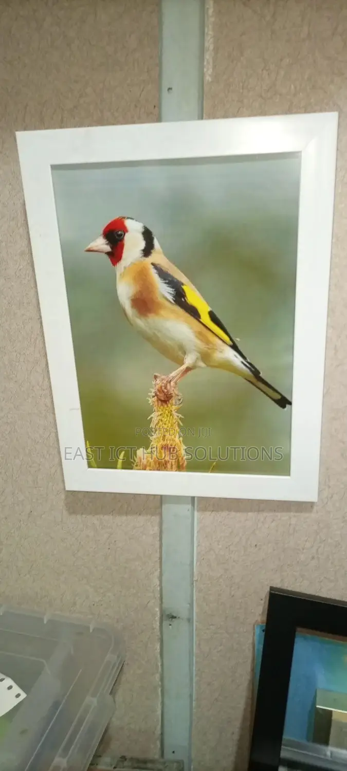 DIY That Photo or Art With Our Classy Photo Frames