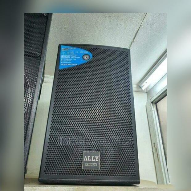 Ally Audio 12" Speaker - main view