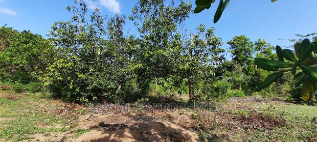 1 Acre Land Mtwapa Few Minutes Walk to the Creek Beach - main view