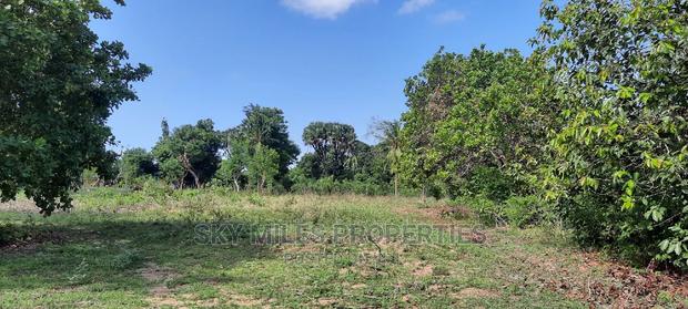 1 Acre Land Mtwapa Few Minutes Walk to the Creek Beach - thumbnail 2