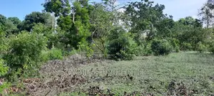 1 Acre Land Mtwapa Few Minutes Walk to the Creek Beach