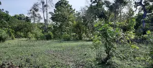 1 Acre Land Mtwapa Few Minutes Walk to the Creek Beach
