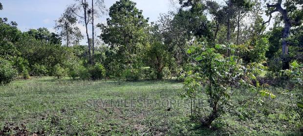 1 Acre Land Mtwapa Few Minutes Walk to the Creek Beach - thumbnail 4