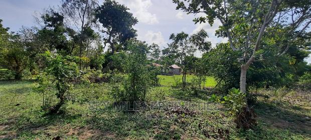 1 Acre Land Mtwapa Few Minutes Walk to the Creek Beach - thumbnail 7