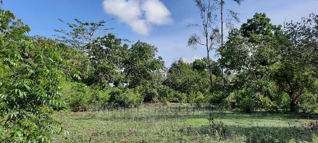 1 Acre Land Mtwapa Few Minutes Walk to the Creek Beach - thumbnail 13