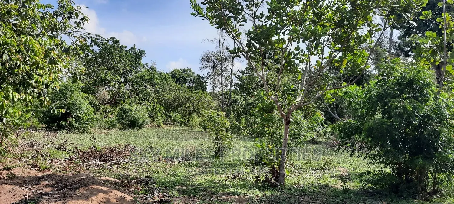 1 Acre Land Mtwapa Few Minutes Walk to the Creek Beach