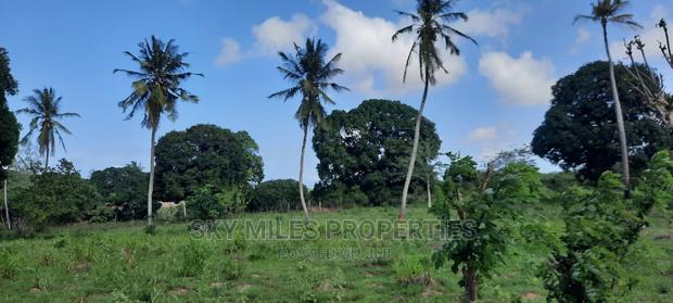 Mtwapa 1 Acre on Sale - thumbnail 3