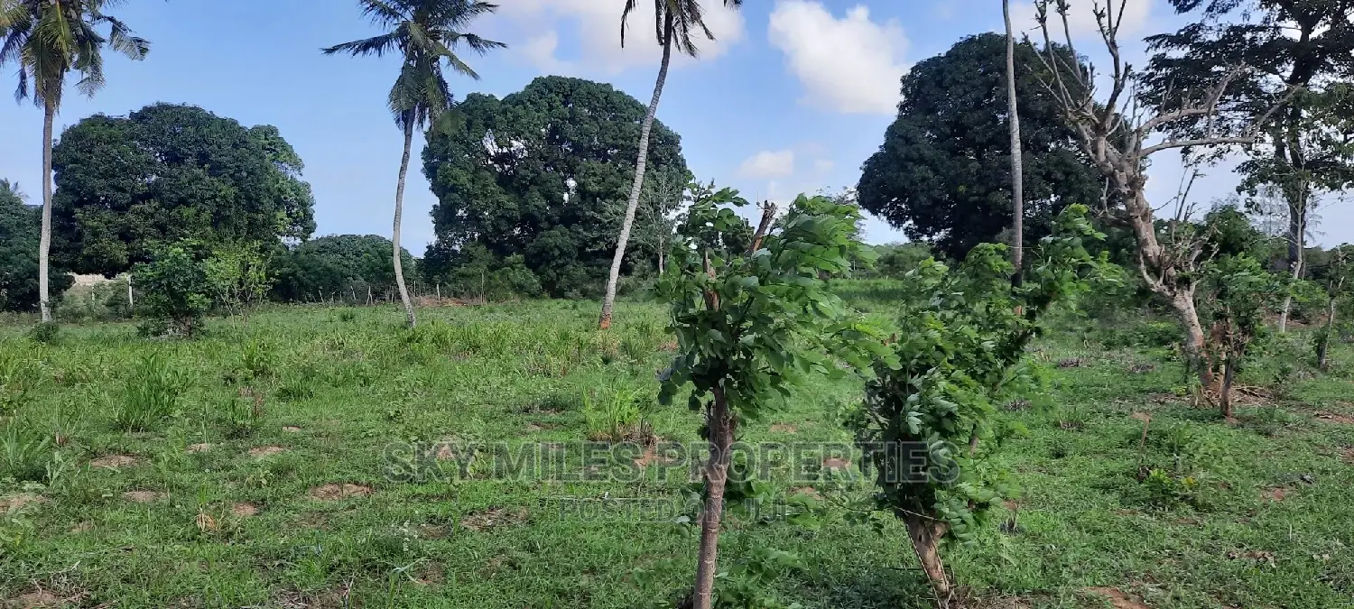 Mtwapa 1 Acre on Sale
