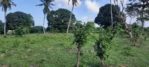 Mtwapa 1 Acre on Sale