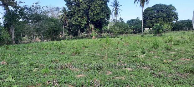 Mtwapa 1 Acre on Sale - thumbnail 5