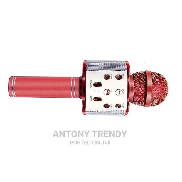 Wireless Bluetooth Karaoke Microphone - main view