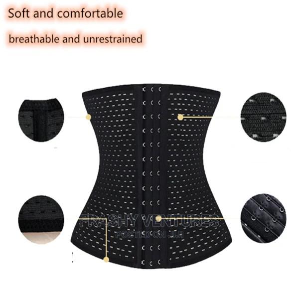 The Corset Belt - main view