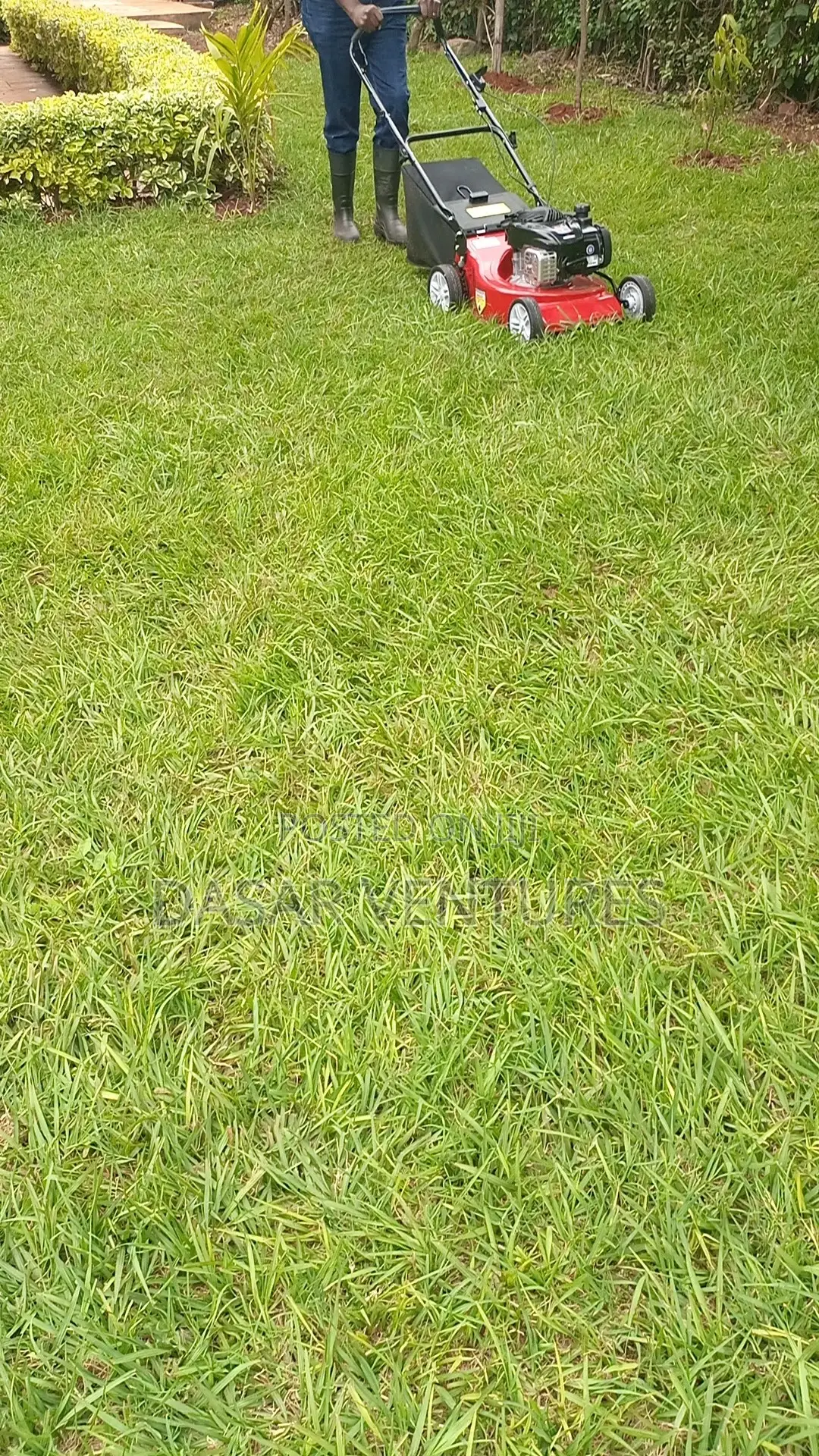 Lawn Mower Mc 4hp