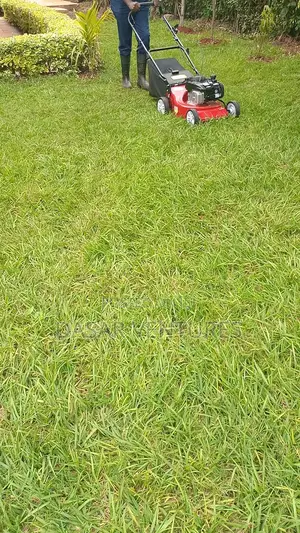 Lawn Mower Mc 4hp