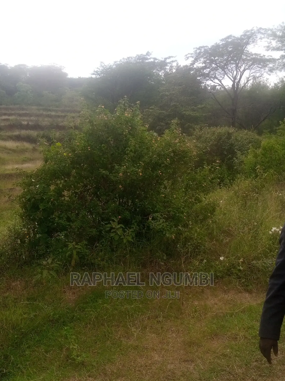 Irrigation Land at Machakos