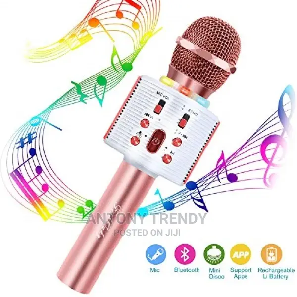 Handheld Karaoke Mic Usb Mini Home KTV