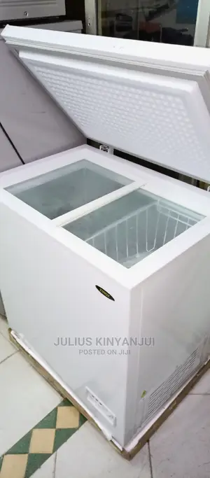 Deep Freezer 160L