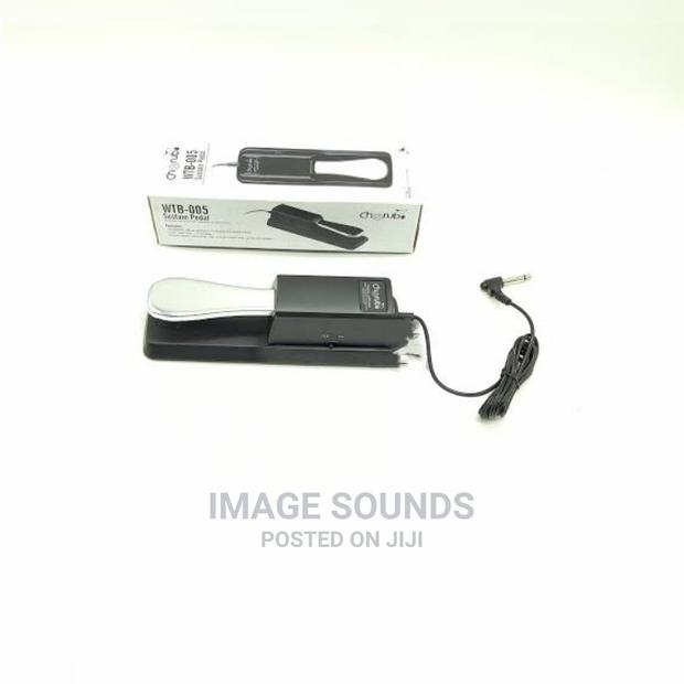 Keyboard Sustain Pedal - main view