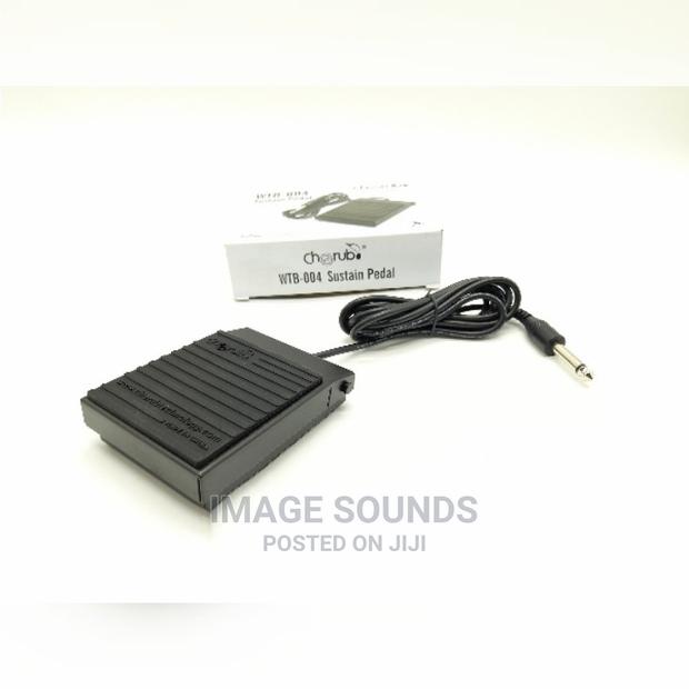 Sustain Pedal - main view