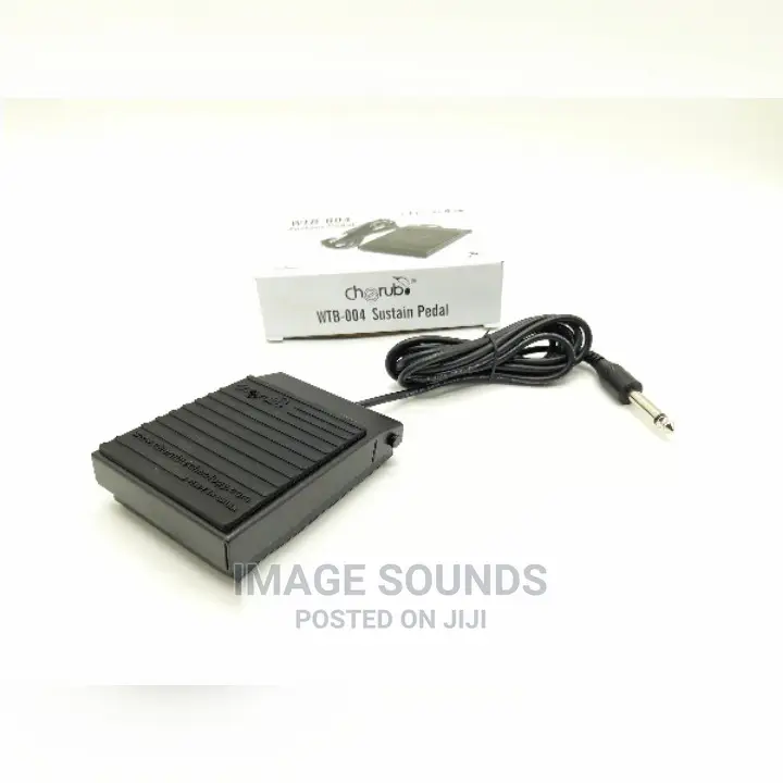 Sustain Pedal
