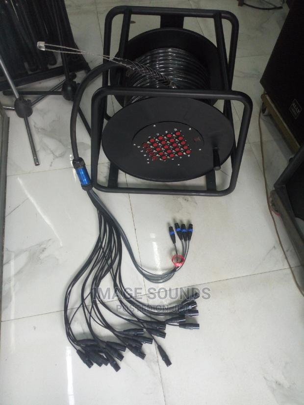 Snake Cable - main view