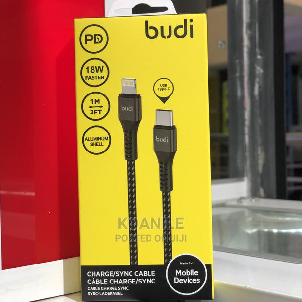 USB C to Lightning Cable - main view