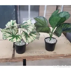 Beautiful Artificial Flowers