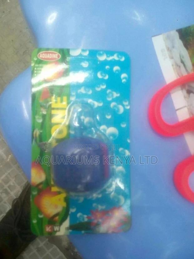 Air Stone Aquarium - main view