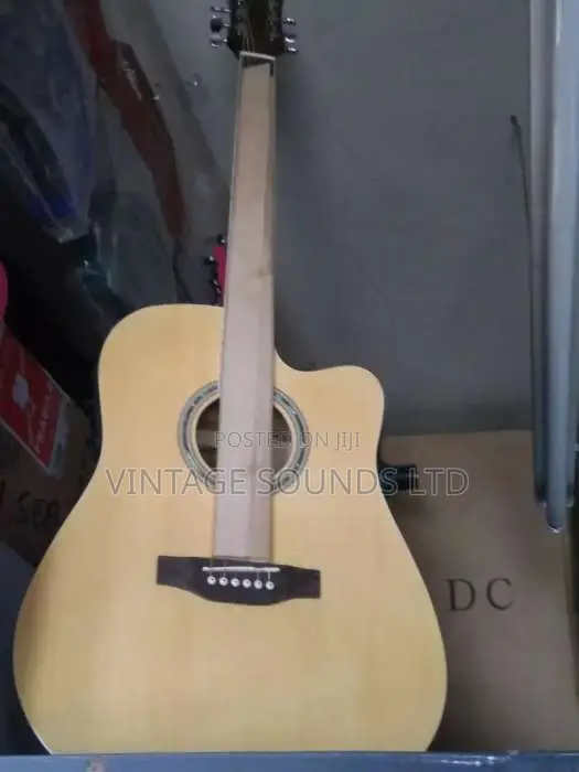 Semi Acoustic Guitar USA