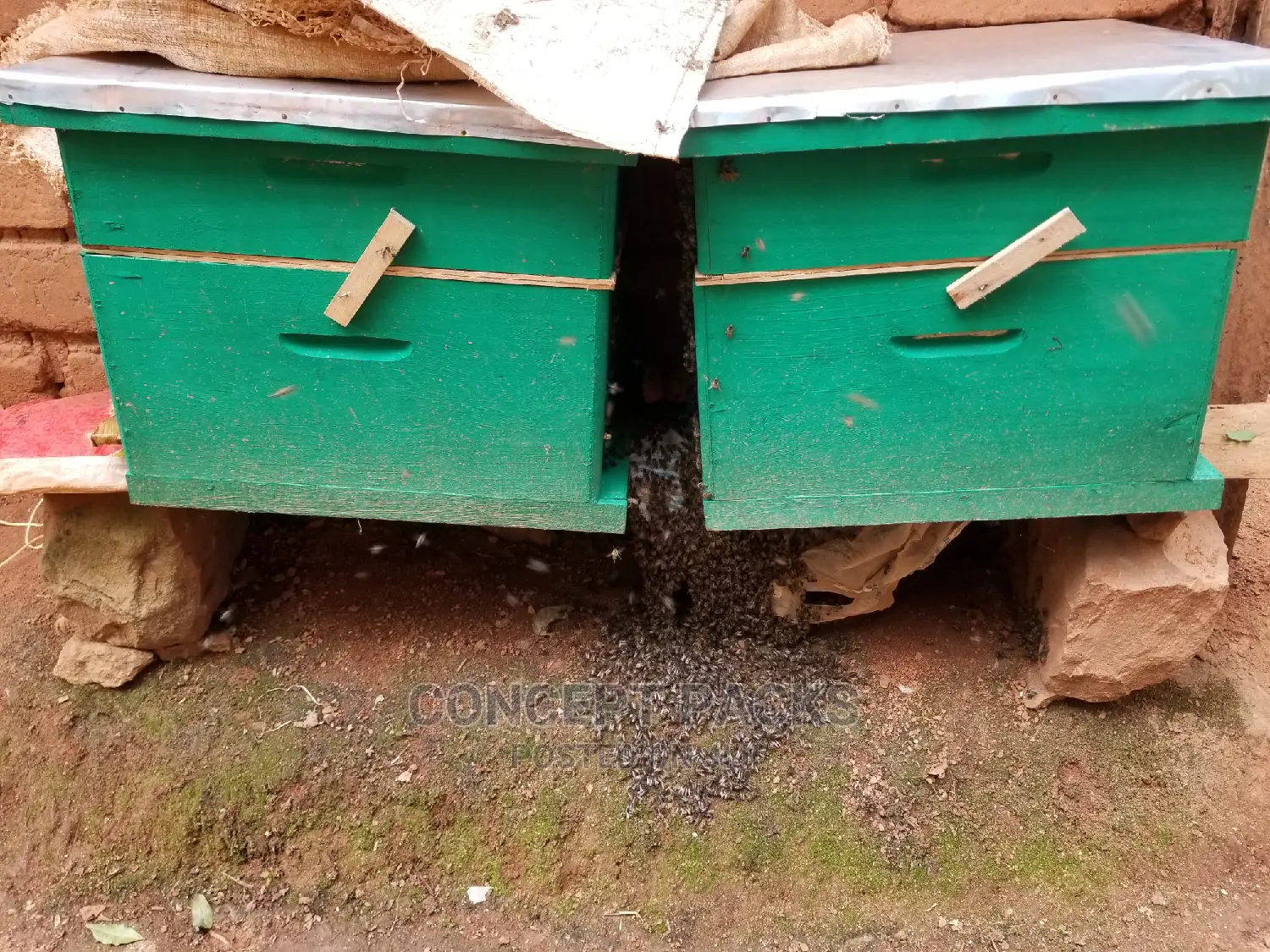 1pc Quality Langstroth Beehive