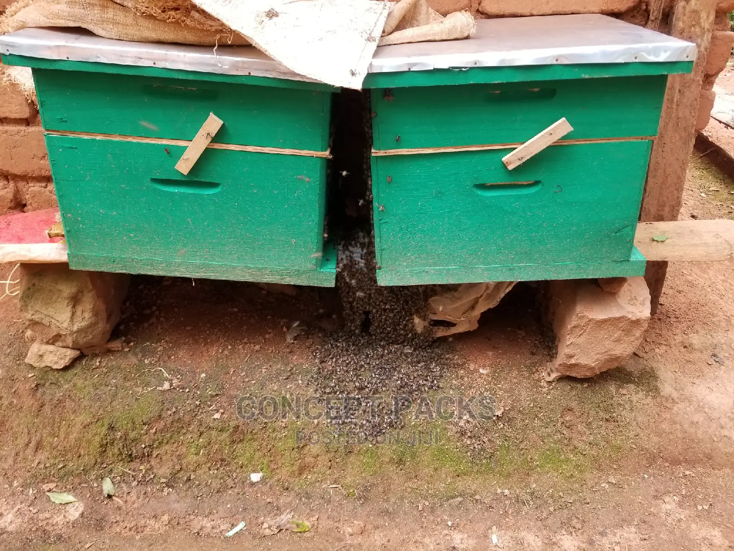 1pc Quality Langstroth Beehive