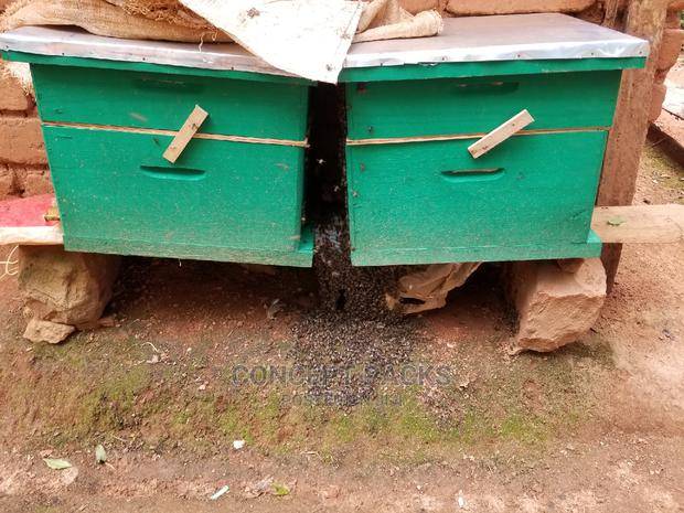 1pc Quality Langstroth Beehive - thumbnail 6