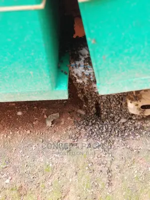 1pc Quality Langstroth Beehive