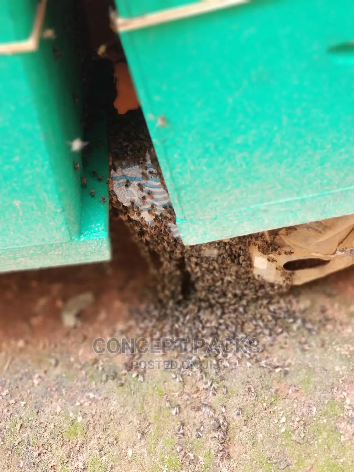 1pc Quality Langstroth Beehive