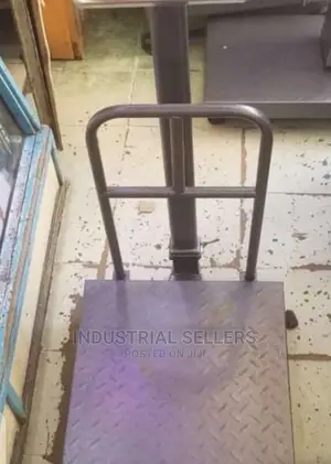 Multiple Function 300kgs Scale