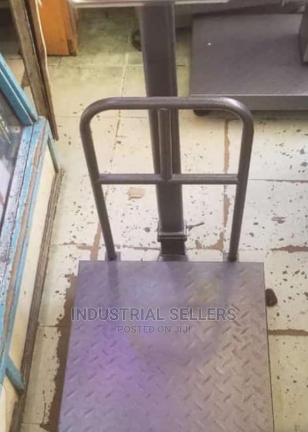 Multiple Function 300kgs Scale - main view